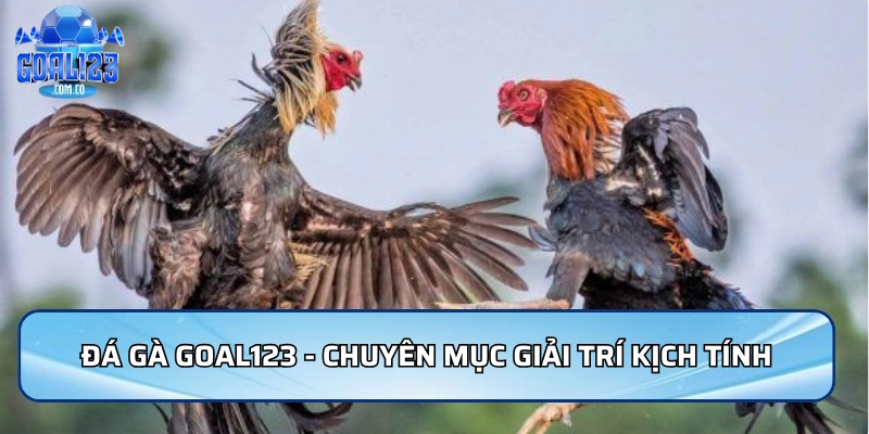 Đá gà Goal123 - Chuyên mục giải trí kịch tính và hấp dẫn