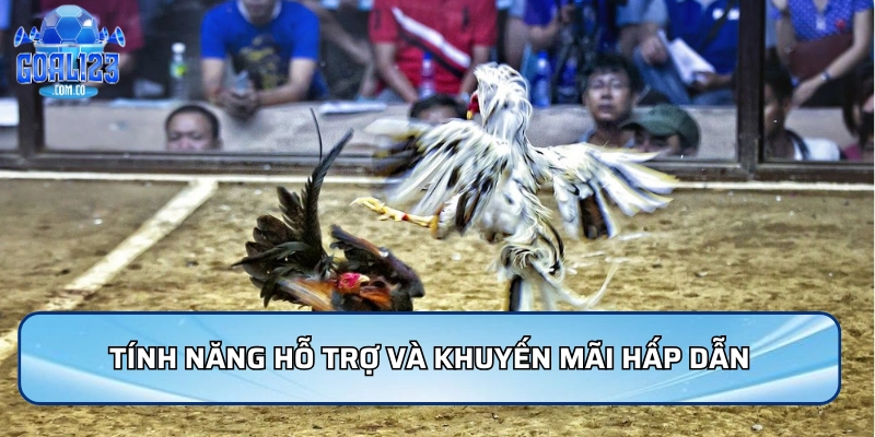 Tính năng hỗ trợ và khuyến mãi hấp dẫn cho người chơi đá gà Goal123